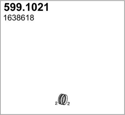 ASSO 599.1021 ASSO 599.1021