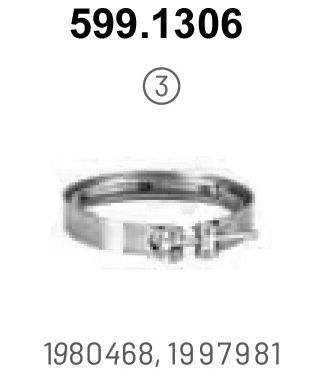 ASSO 599.1306