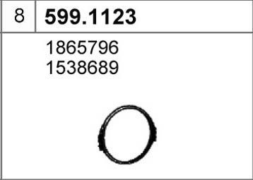 ASSO 599.1123
