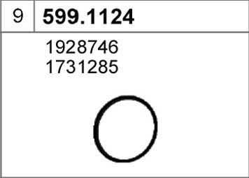 ASSO 599.1124