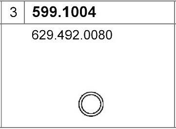 ASSO 599.1004