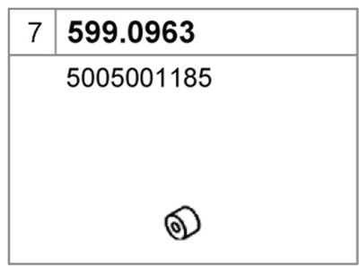 ASSO 599.0963
