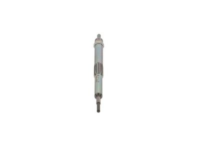 BOSCH F 01G 004 030