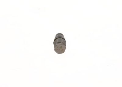BOSCH F 00N 010 070
