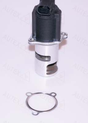 AUTEX 959019