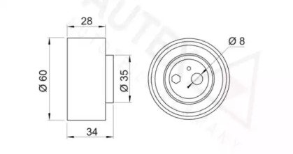 AUTEX 641557