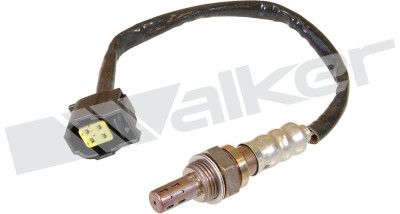 WALKER PRODUCTS 250-24312