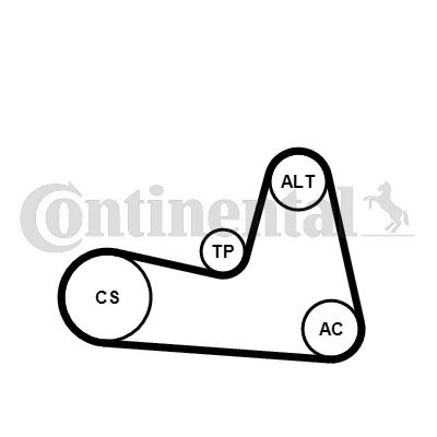 CONTINENTAL CTAM 6PK1200K2