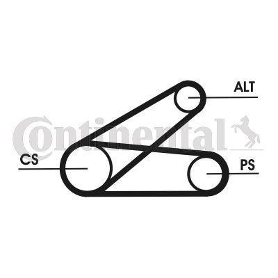 CONTINENTAL CTAM 6PK873 ELAST T1