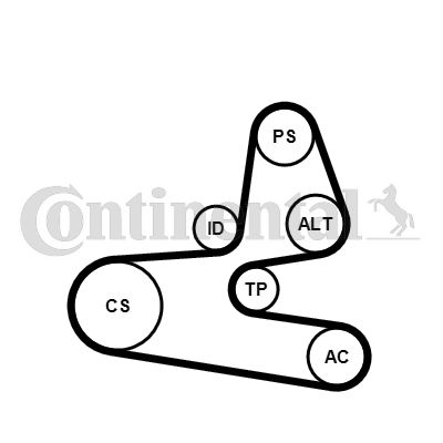 CONTINENTAL CTAM 6PK1564K1