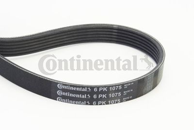 CONTINENTAL CTAM 6PK1075