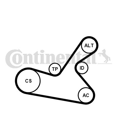 CONTINENTAL CTAM 6PK1125K1