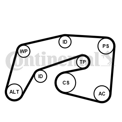 CONTINENTAL CTAM 7PK2035K1