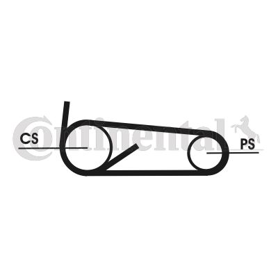 CONTINENTAL CTAM 4PK922 ELAST T1