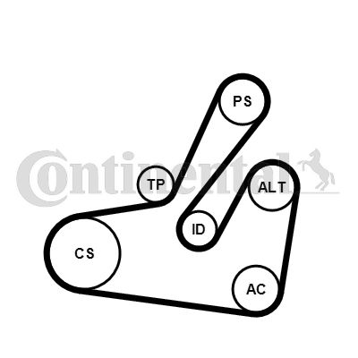 CONTINENTAL CTAM 6PK1795K2