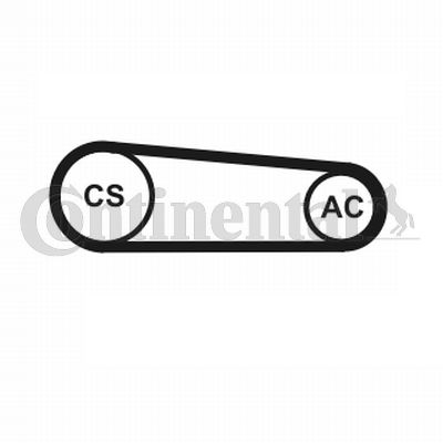 CONTINENTAL CTAM 4PK917 ELAST T1