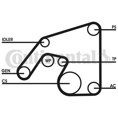 CONTINENTAL CTAM 6PK2390D1