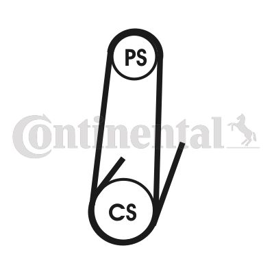 CONTINENTAL CTAM 4PK1022 ELAST