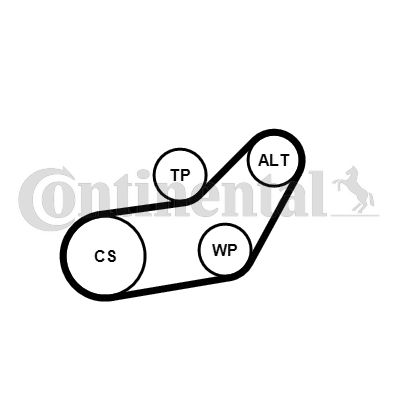 CONTINENTAL CTAM 6PK1045K1