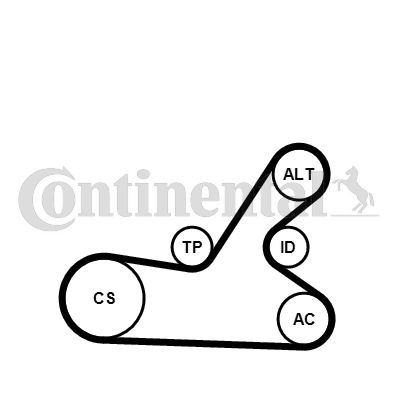 CONTINENTAL CTAM 6PK1145K4