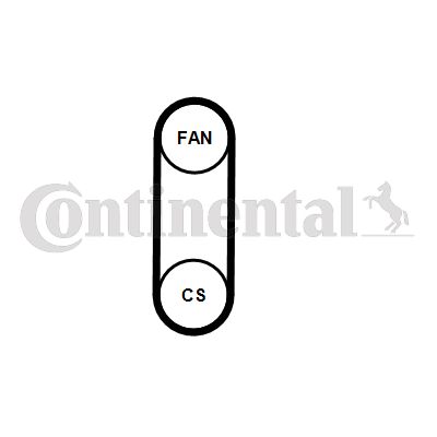 CONTINENTAL CTAM 4PK711 ELAST T1