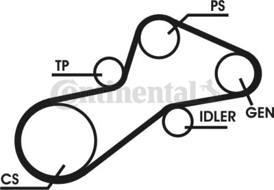 CONTINENTAL CTAM 6PK1345D1