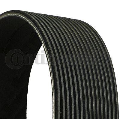 CONTINENTAL CTAM 15PK938 CONTINENTAL CTAM 15PK938