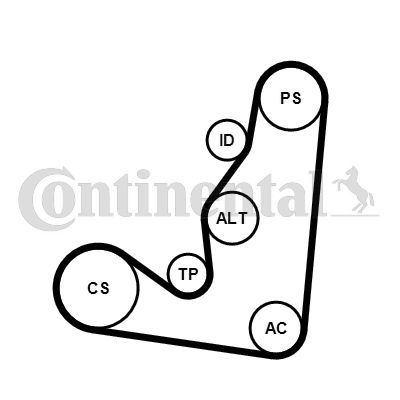 CONTINENTAL CTAM 6PK1660K4