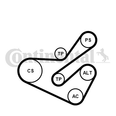 CONTINENTAL CTAM 6PK1740K1