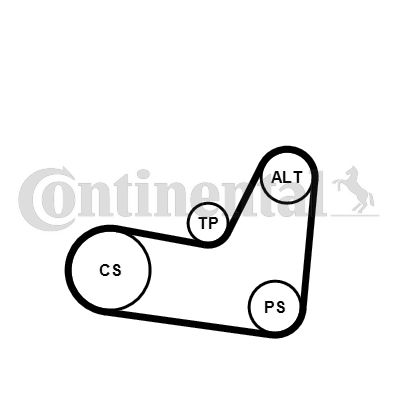 CONTINENTAL CTAM 6PK1070K2