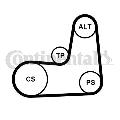 CONTINENTAL CTAM 5PK1135K2