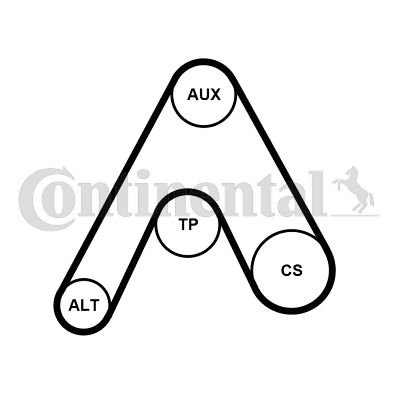 CONTINENTAL CTAM 6PK1217K3