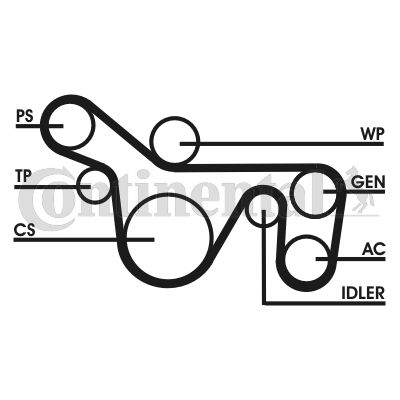 CONTINENTAL CTAM 6PK1720D2