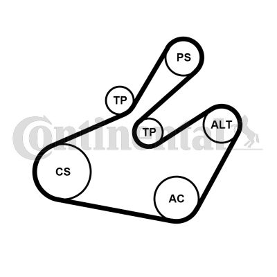 CONTINENTAL CTAM 6PK1468K1