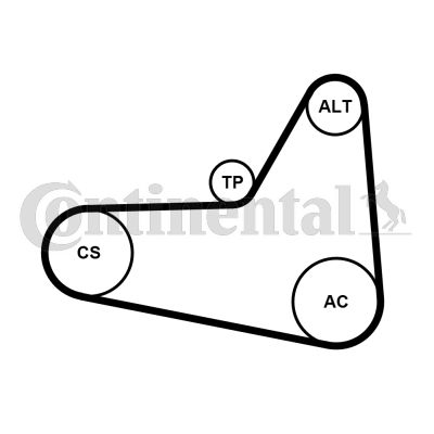 CONTINENTAL CTAM 6PK1054K1