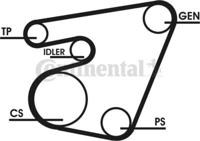 CONTINENTAL CTAM 6PK1767D1