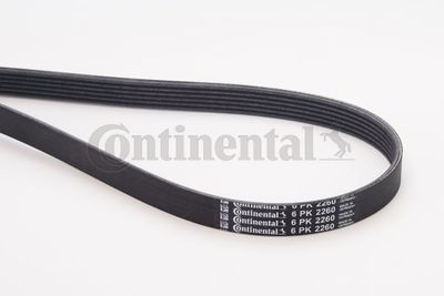 CONTINENTAL CTAM 6PK2260