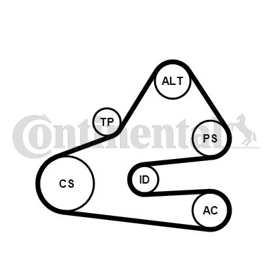 CONTINENTAL CTAM 6PK1613K1