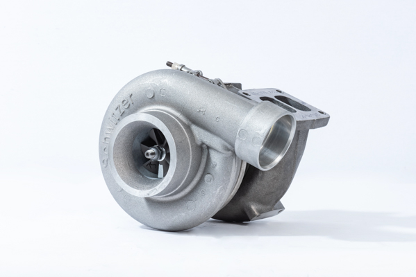 BorgWarner (Schwitze 316756 BorgWarner (Schwitze 316756