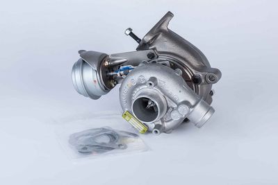 BorgWarner 57439900010