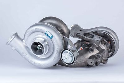 BorgWarner 10009880128