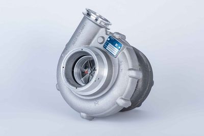 BorgWarner 53299887132