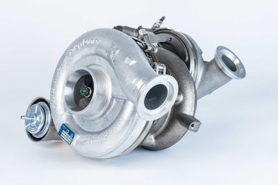 BorgWarner 10009880129