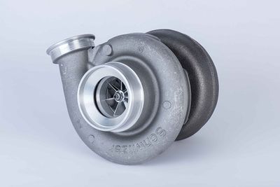 BorgWarner 13809880002