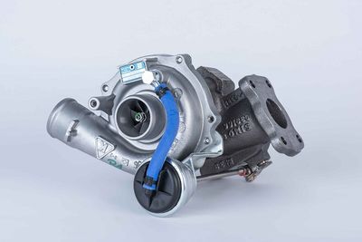 BorgWarner (3K) 5303 988 0061