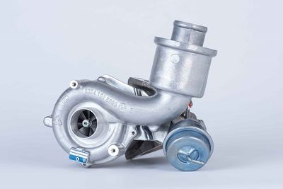 BorgWarner (3K) 5303 988 0052