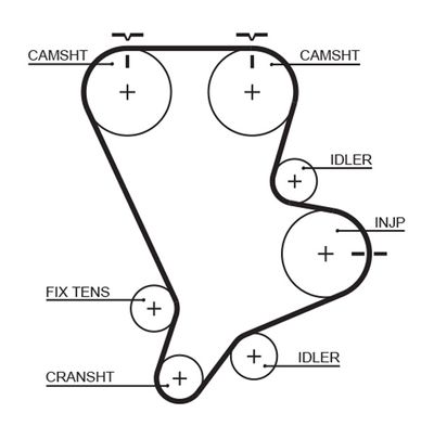 GATES 5554XS