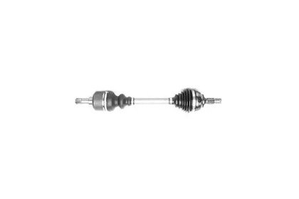 DA SILVA 1137T DA SILVA 1137T