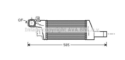 PRASCO OLA4404