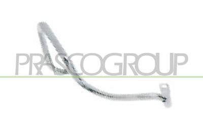 PRASCO FT0031456